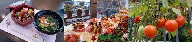 介護付き有料老人ホーム私の時間食事形態