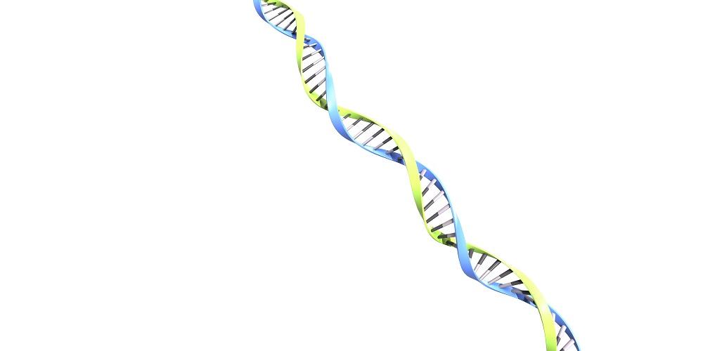 ハンチントン病