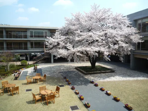 ゆうらいふ世田谷（世田谷区粕谷の高級老人ホーム）