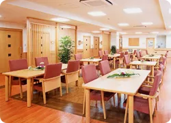 ニチイケアパレス