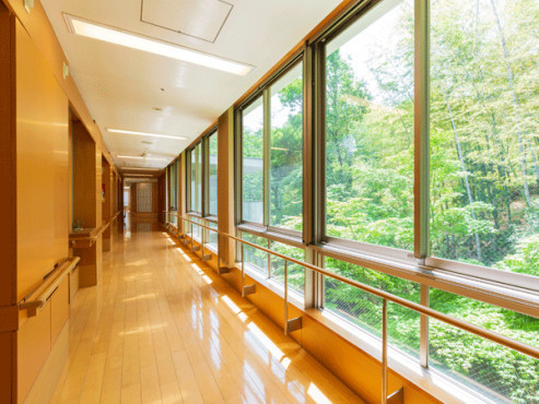 ヒルデモアこどもの国