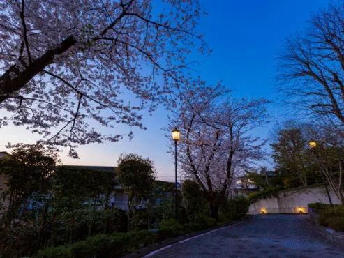 ヒルデモア三渓園