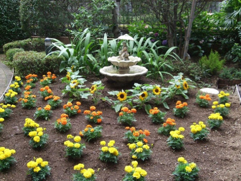 シルバーシティ石神井北館