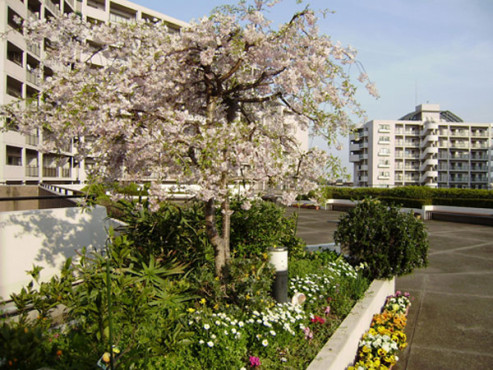 ゆうらいふ横浜