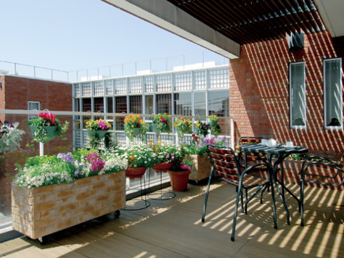 アライブ世田谷下馬