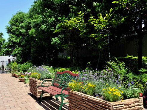 アライブ浜田山