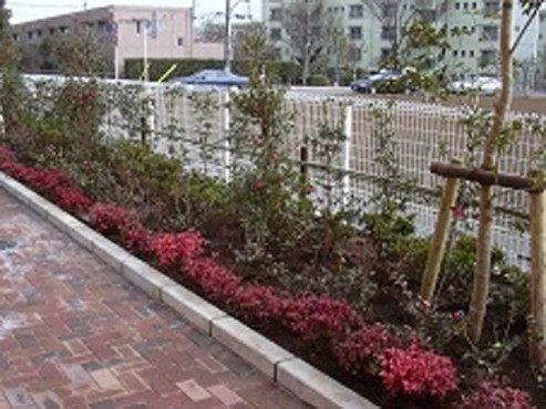 SOMPOケア そんぽの家朝日ヶ丘