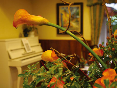 ロングライフ葛西