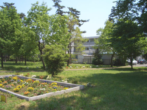 ロイヤルヴィラ・ナーシングヴィラ八千代台