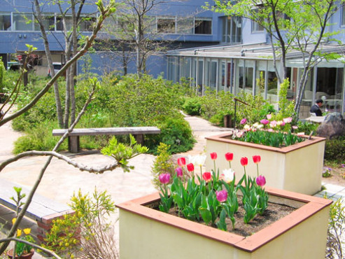 シニア町内会癒しのまくはり館