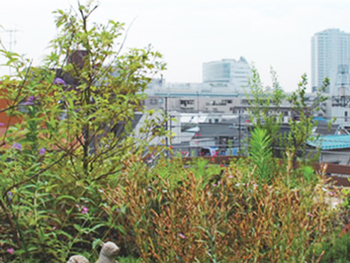 アルタクラッセ二子玉川