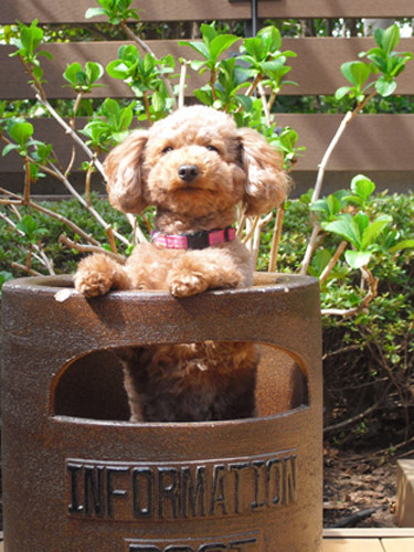 アルタクラッセ二子玉川