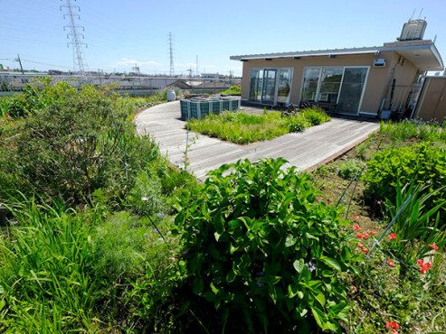 リブインさくら