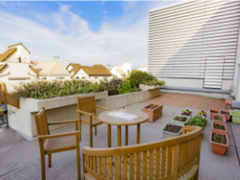 もみの樹・横浜鶴見