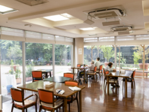 もみの樹・横浜鶴見