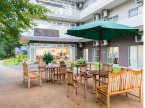 もみの樹・横浜鶴見