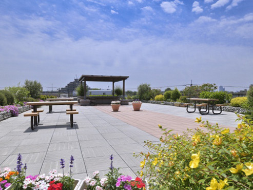 もみの樹・練馬