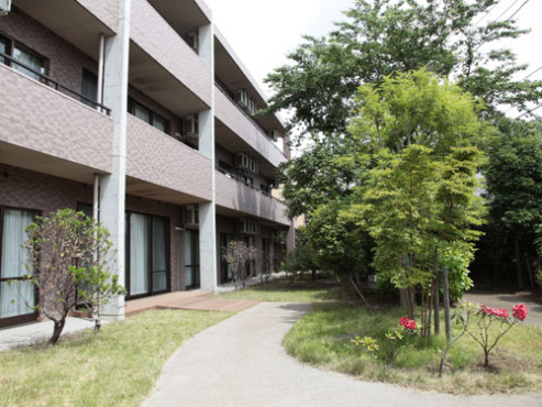 もみの樹・杉並