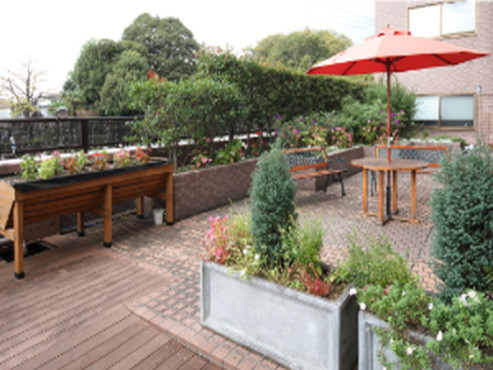 もみの樹・杉並