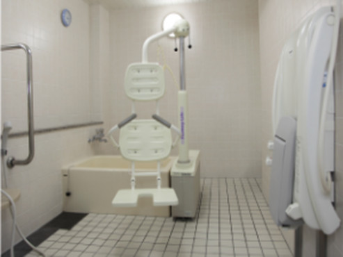 もみの樹・杉並