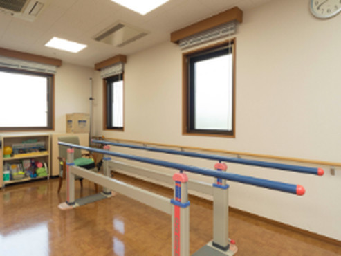 もみの樹・杉並