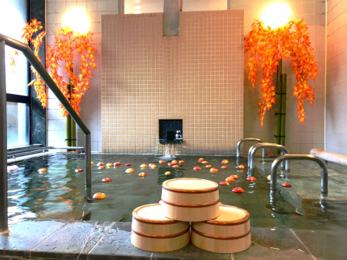 ドーミー相模原