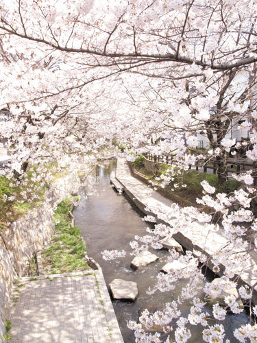 SOMPOケア ラヴィーレ多摩川桜並木