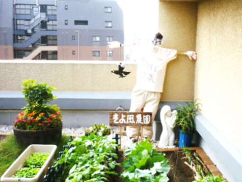 浅草ケアパークそよ風