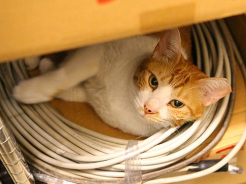 ヒューマンライフケア千葉院内の郷