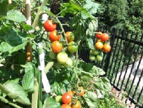 グッドタイム リビング 神戸垂水