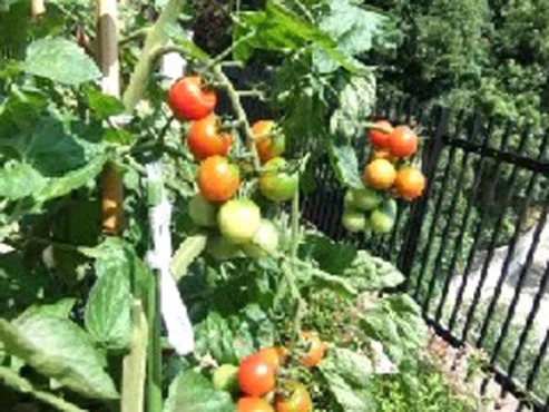 グッドタイム リビング 神戸垂水