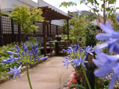 グッドタイム リビング 小野