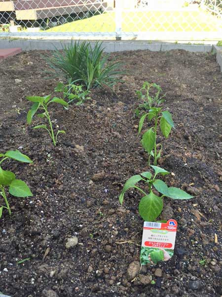 グループハウスほたる