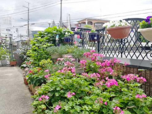 ソルケア大東深野