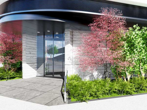 エントランスのシンボルツリー（桜）