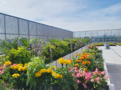 サンライズ・ヴィラ小竹向原