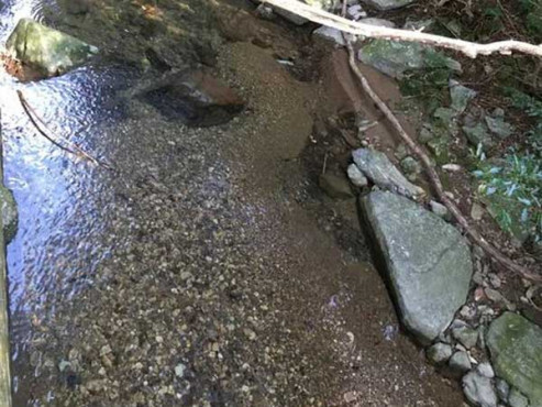 ひろんた村母屋