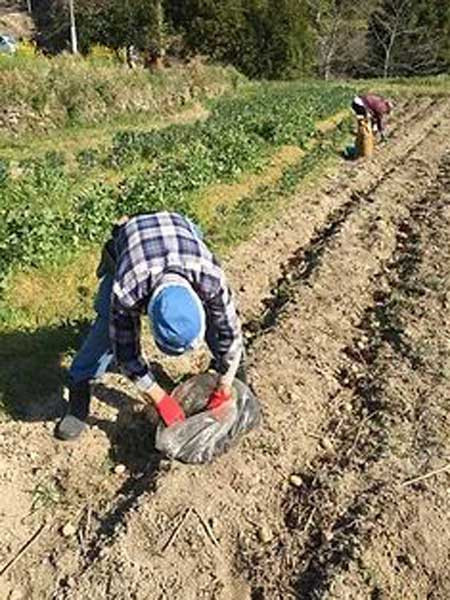 ひろんた村母屋