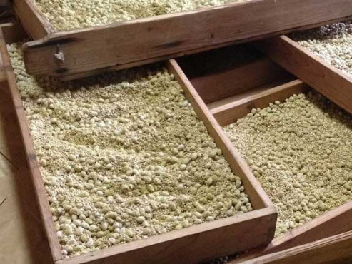 ひろんた村母屋