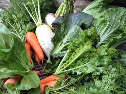 ひろんた村母屋