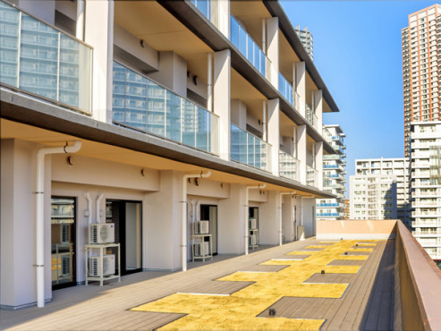 チャームスイート豊洲