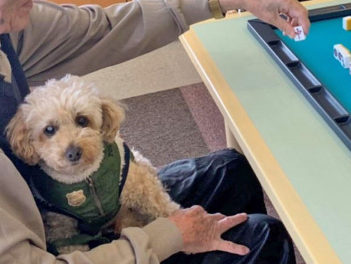 青梅ガーデンハウス