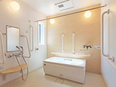 朝と海と森と 磯子栗木