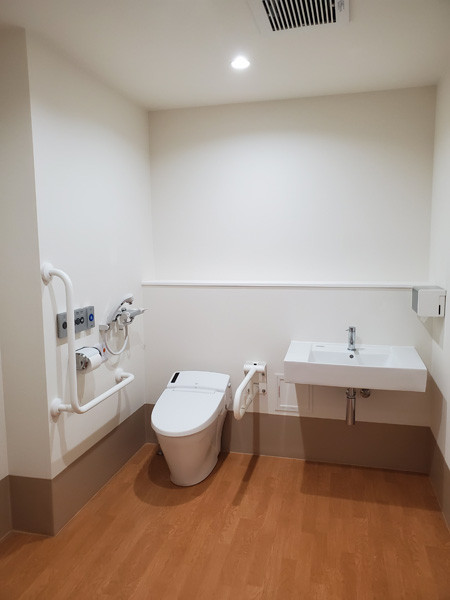 朝と海と森と 磯子栗木