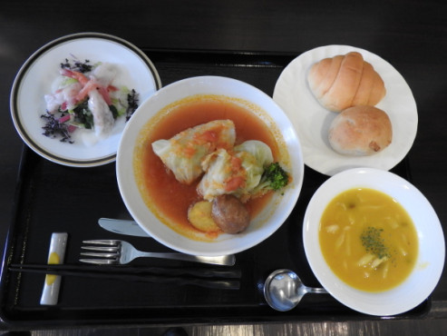 ライフコート手稲