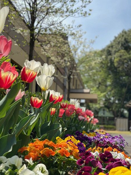 あすなろホーム北本