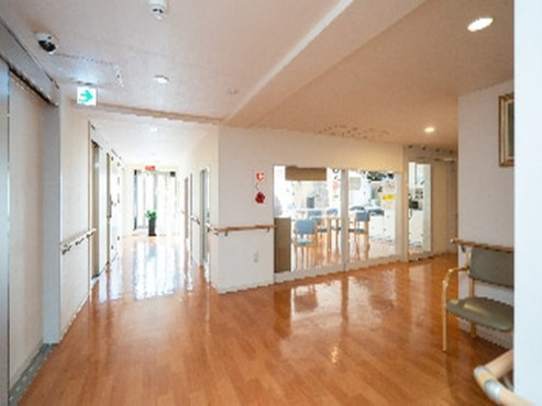 スカイパレット