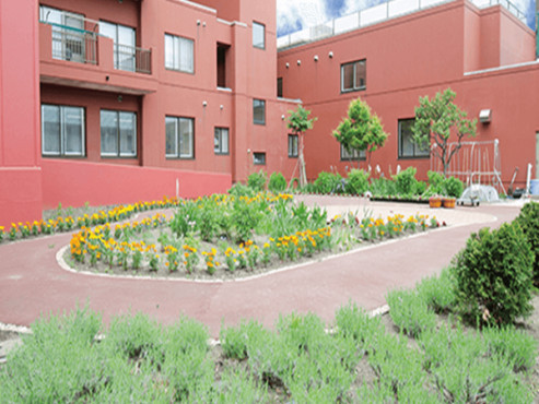 ライフドリーム藤美