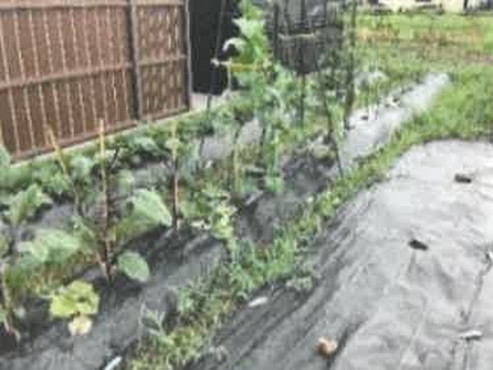 サービス付き高齢者向け住宅 ひより遊庵