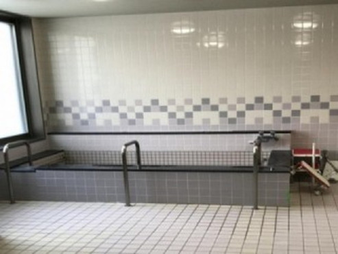 ライフシップ大麻